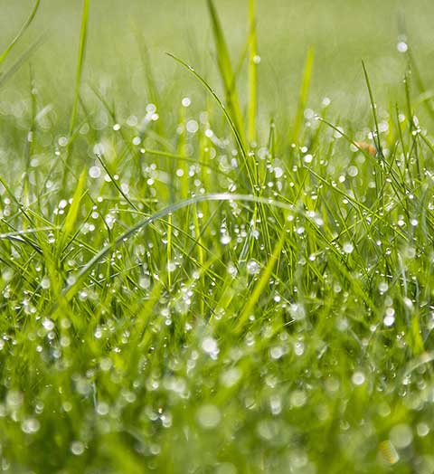 3räume – Garten- und Landschaftsbau sowie Freiraumplanung aus Osnabrück